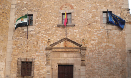 Admitidos definitivos LD Coordinador/a Promoción Cultural y Publicaciones Diputación Cáceres