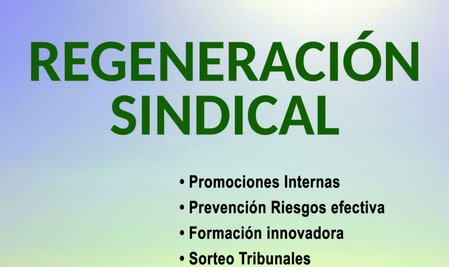 Vuestra confianza, nuestro esfuerzo