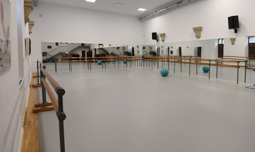 Admitidos definitivos y fecha examen Profesor/a Danza Diputación Cáceres