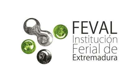 Convocatoria Técnico/a Docente FEVAL