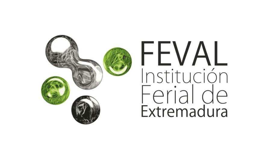 Cese y Nombramiento Director General FEVAL