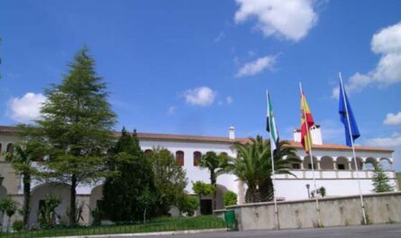 Nombramiento tribunal bolsa trabajo Profesor/a Música especialidad Oboe y Fagot Diputación Cáceres