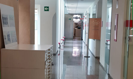 Bases convocatoria promoción interna 11 Técnico/a Gestión Administrativa Diputación Badajoz