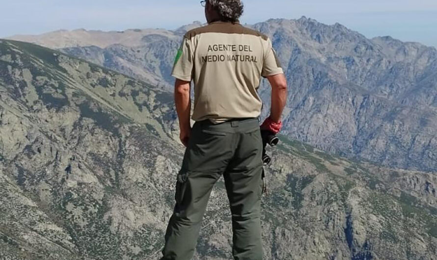 Admitidos provisionales procesos selectivos Agente Medio Natural CAE