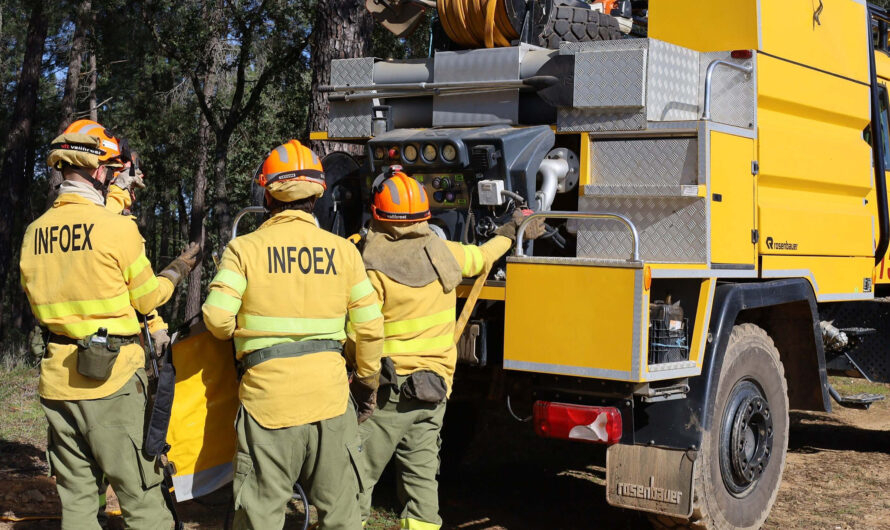 Admitidos definitivos y fecha examen laboral Grupo IV Bombero/a Forestal Conductor/a CAE