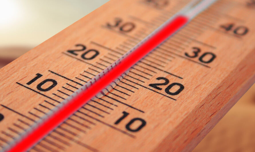 El SIP ha exigido a la Junta medidas urgentes para paliar altas temperaturas en centros del SEPAD