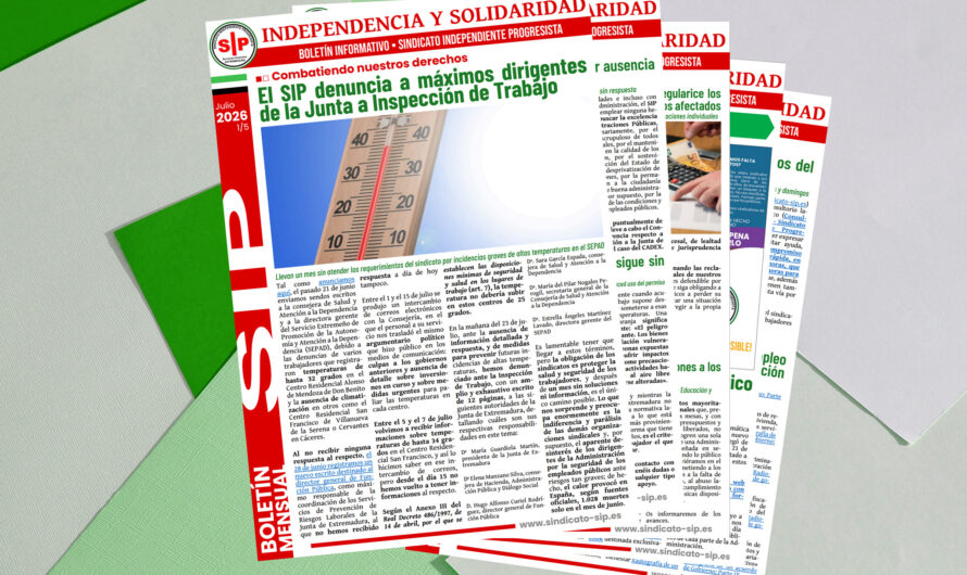 Boletín mensual IS julio 2026